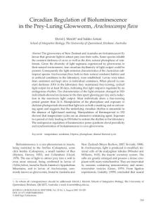 Merrit_ _Aotani_2008_circadian_Bioluminescence