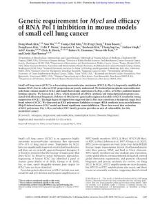 Genes Dev.-2016-Kim-1289-99-Genetic requirement for Mycl and efficacy of RNA Pol I inhibition in mouse models of small cell lung cancer