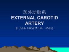 頸外動脈系