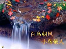百鸟朝凤小鸟依人