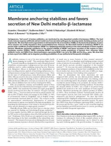 nchembio.2083-Membrane anchoring stabilizes and favors secretion of New Delhi metallo-β-lactamase