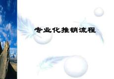 专业化推销流程介绍(修改版)