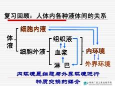 高中生物常规教学精品课件高二生物：内环境稳态的重要性