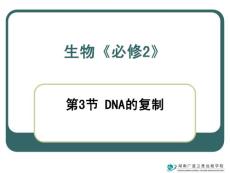 高中生物常规教学精品课件高一生物：：DNA的复制