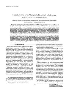 Redistributive properties of the vesicular stomatitis virus polymerase