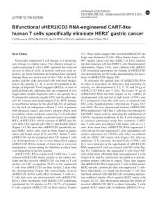 cr201681a-Bifunctional αHER2-CD3 RNA-engineered CART-like human T cells specifically eliminate HER2+ gastric cancer