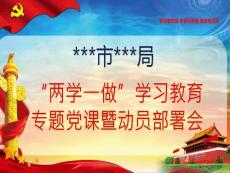 两学一做学习教育动员部署会宣讲PPT课件