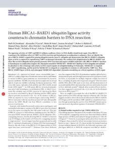 nsmb.3236-Human BRCA1–BARD1 ubiquitin ligase activity counteracts chromatin barriers to DNA resection