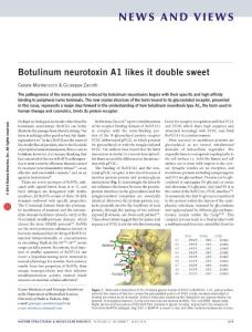 nsmb.3253-Botulinum neurotoxin A1 likes it double sweet