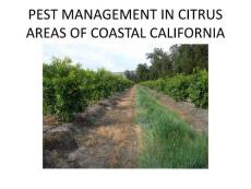 PEST MANAGEMENT IN COASTAL CITRUS