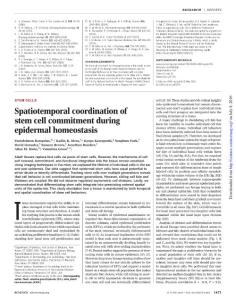 Spatiotemporal coordination of on July 2, 2016 stem cell ...