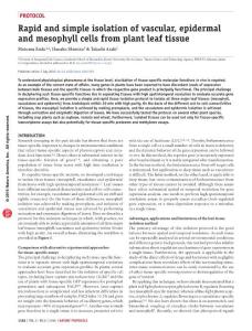 nprot.2016.083-Rapid and simple isolation of vascular, epidermal and mesophyll cells from plant leaf tissue