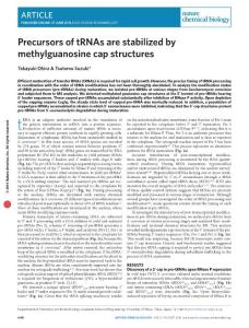 nchembio.2117-Precursors of tRNAs are stabilized by methylguanosine cap structures