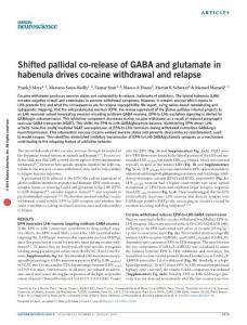 nn.4334-Shifted pallidal co-release of GABA and glutamate in habenula drives cocaine withdrawal and relapse