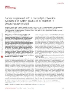 nbt.3585-Canola engineered with a microalgal polyketide synthase-like system produces oil enriched in docosahexaenoic acid