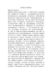 祝姐姐生日祝福短信