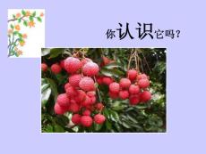 6《南州六月荔枝丹》文庫7257108687