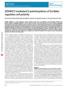 nchembio.2119-ZDHHC7-mediated S-palmitoylation of Scribble regulates cell polarity