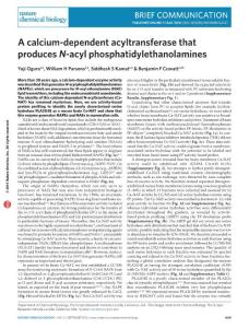 nchembio.2127-A calcium-dependent acyltransferase that produces N-acyl phosphatidylethanolamines