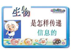 17.生物是怎樣傳遞信息的