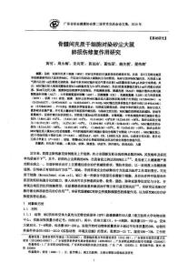 骨髓間充質(zhì)干細(xì)胞對染矽塵大鼠肺損傷修復(fù)作用研究