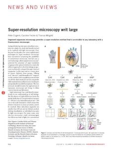 nbt.3669-Super-resolution microscopy writ large
