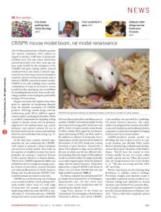 nbt0916-893-CRISPR mouse model boom, rat model renaissance