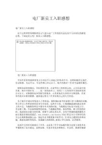 電廠新員工入職感想.doc