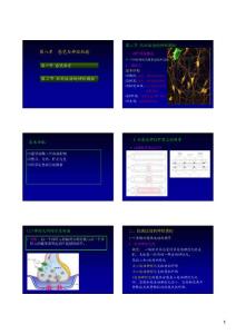 8-感觉与神经2