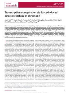 nmat4729-Transcription upregulation via force-induced direct stretching of chromatin