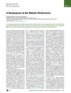 Development Cell-2016-A Nucleoporin at the Meiotic Kinetochore