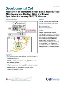 Development Cell-2016-Modulators of Stomatal Lineage Signal Transduction Alter Membrane Contact Sites and Reveal Specialization among ERECTA Kinases