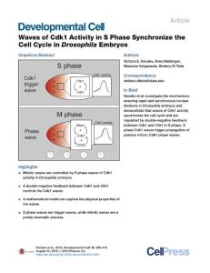 Development Cell-2016-Waves of Cdk1 Activity in S Phase Synchronize the Cell Cycle in Drosophila Embryos