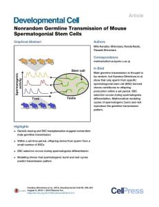 Developmental Cell-2016-Nonrandom Germline Transmission of Mouse Spermatogonial Stem Cells