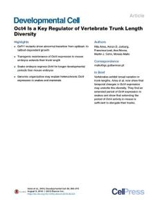 Developmental Cell-2016-Oct4 Is a Key Regulator of Vertebrate Trunk Length Diversity