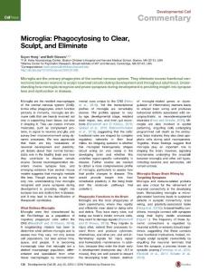 Developmental Cell-2016-Microglia- Phagocytosing to Clear, Sculpt, and Eliminate