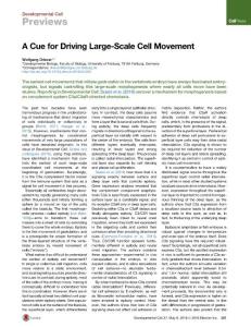 Developmental Cell-2016-A Cue for Driving Large-Scale Cell Movement