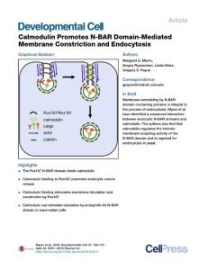 Developmental Cell-2016-Calmodulin Promotes N-BAR Domain-Mediated Membrane Constriction and Endocytosis