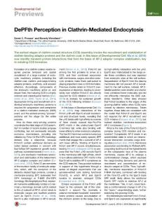 Developmental Cell-2016-DePFth Perception in Clathrin-Mediated Endocytosis