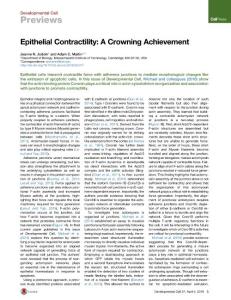 Developmental Cell-2016-Epithelial Contractility- A Crowning Achievement