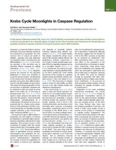 Developmental Cell-2016-Krebs Cycle Moonlights in Caspase Regulation