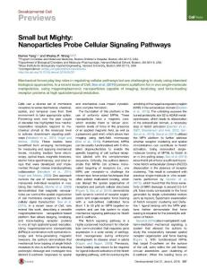 Developmental Cell-2016-Small but Mighty- Nanoparticles Probe Cellular Signaling Pathways