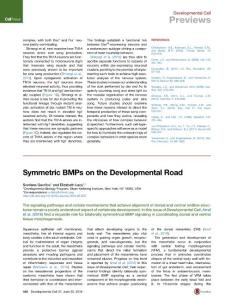 Developmental Cell-2016-Symmetric BMPs on the Developmental Road