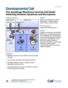 Developmental Cell-2016-The Autophagy Machinery Controls Cell Death Switching between Apoptosis and Necroptosis
