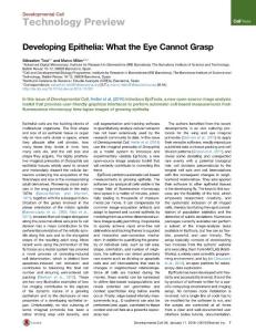Developmental Cell-2016- Developing Epithelia- What the Eye Cannot Grasp