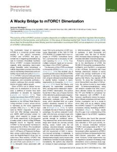 Developmental Cell-2016-A Wacky Bridge to mTORC1 Dimerization