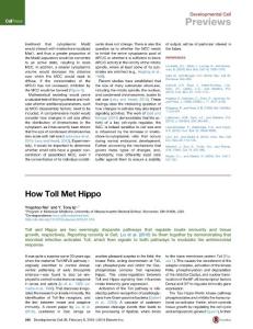 Developmental Cell-2016-How Toll Met Hippo