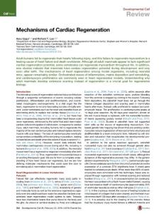 Developmental Cell-2016-Mechanisms of Cardiac Regeneration