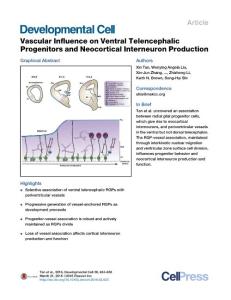 Developmental Cell-2016-Vascular Influence on Ventral Telencephalic Progenitors and Neocortical Interneuron Production
