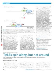 nchembio.2182-Single-molecule biophysics- TALEs spin along, but not around